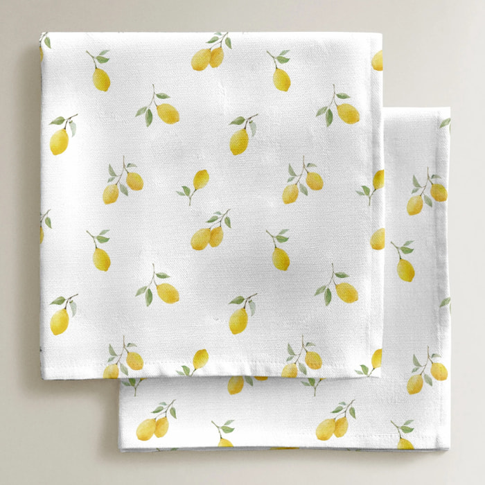 Lot de 2 serviettes Bettina 924-4