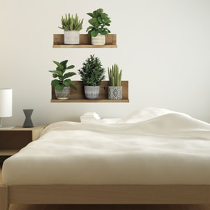 Stickers muraux 3D | Sticker Mural Autocollant effet PLANTES VERTES SUR ÉTAGÈRES - Stickers adhésifs 3D Chambre Salon Trompe l'oeil