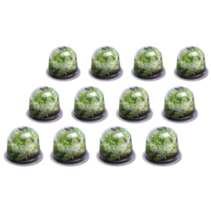 Cloches à salade - lot de 12