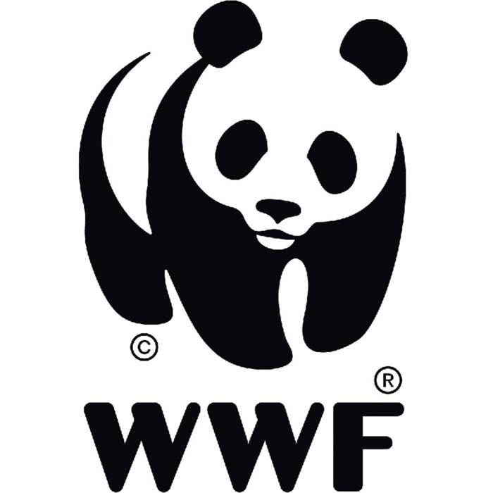 WWF AJEDREZ CUENCA DEL CONGO
