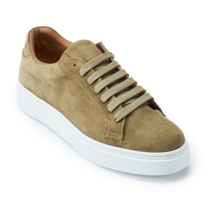 Sneaker British Passport Taupe