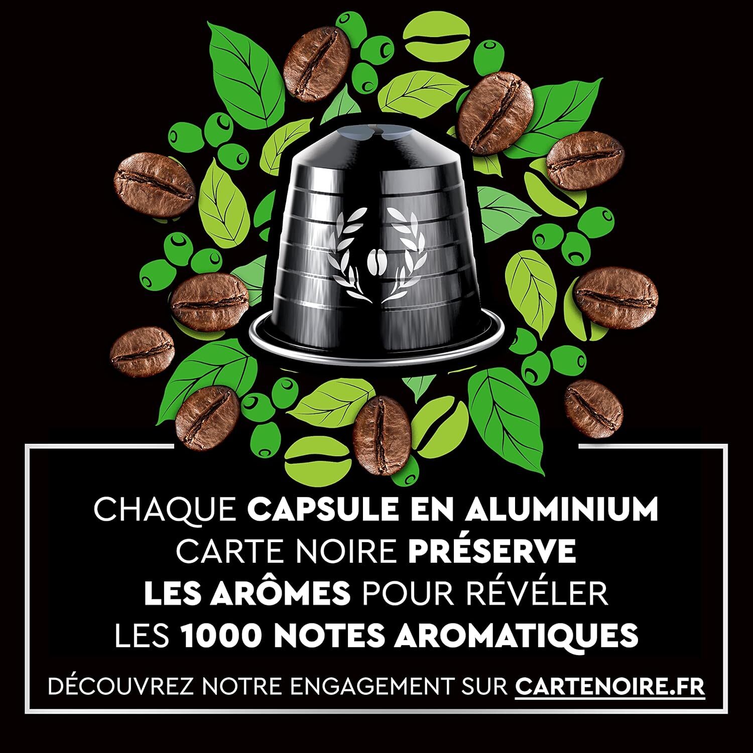 Carte Noire Espresso Puissant x30