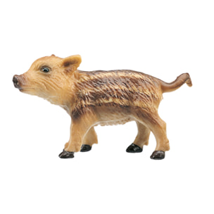 Animali della Foresta/Piccolo di Cinghiale
