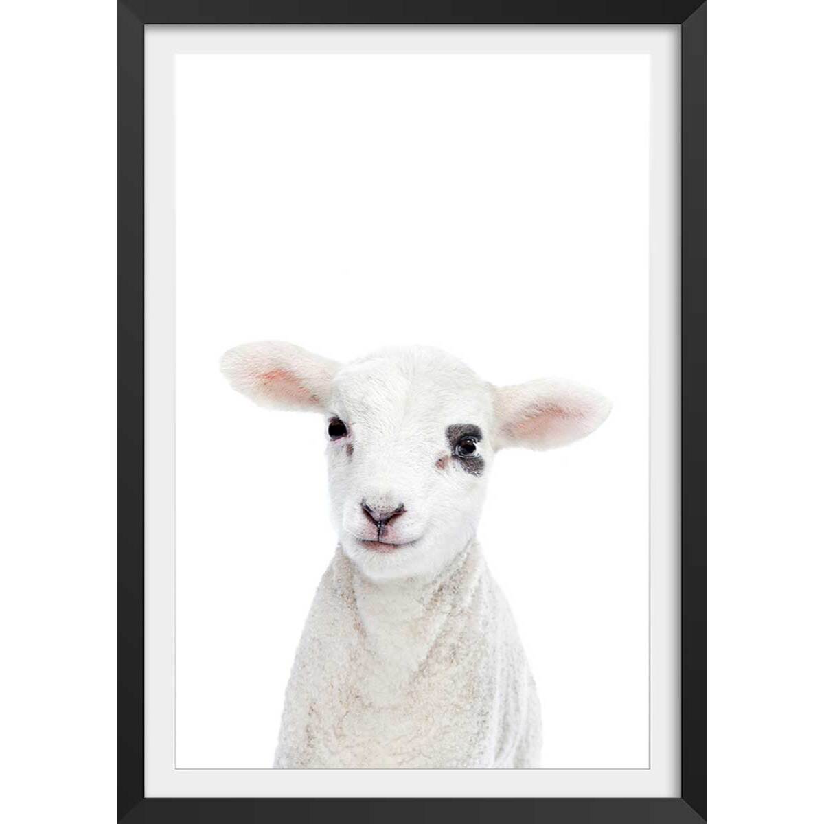 Affiche enfant bébé agneau  Affiche + cadre en bois - Noir