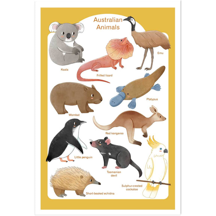 Affiche enfant animaux d' australie  Affiche seule