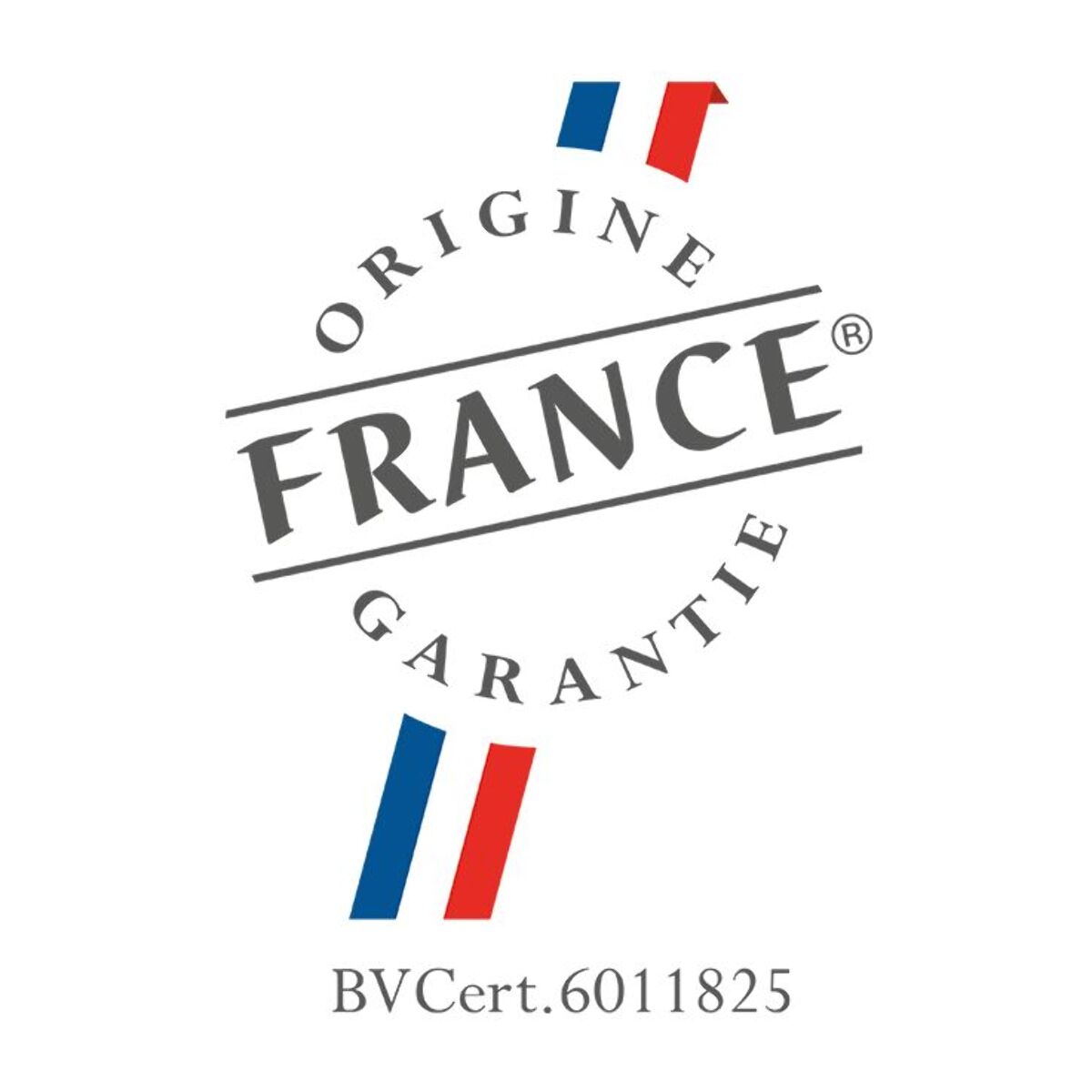 Four encastrable fonction vapeur SAUTER SOR4545B