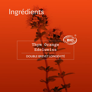 Crème des Reines Légère - Soin de Jour Anti-âge Eclat 40 ml