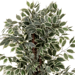 Ficus artificiel "Benjamina" vert foncé H180cm