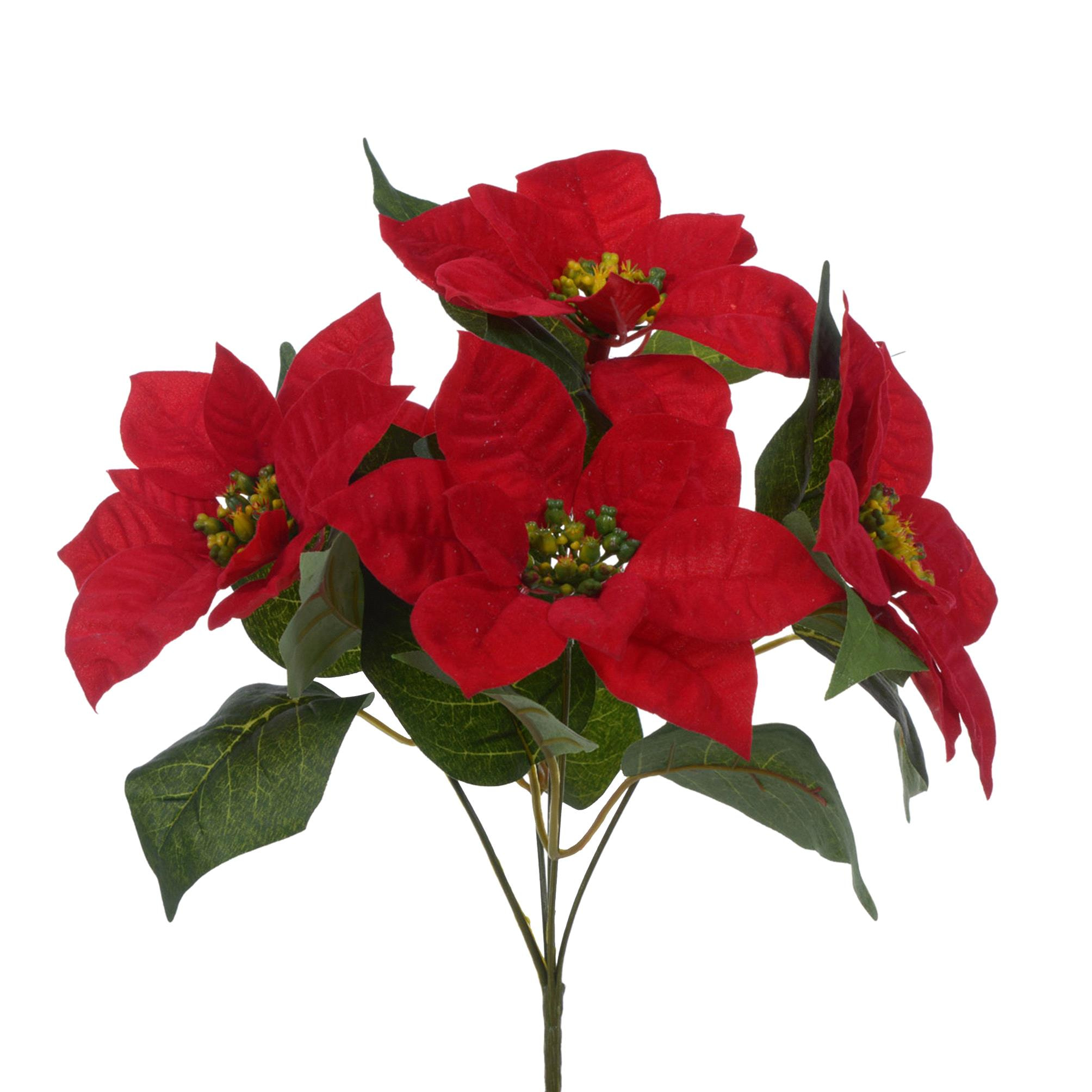 Stella natale velvet - Pezzi 24 - 22xH73x6cm - Bianchi Dino SpA