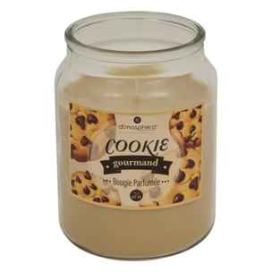 Bougie parfumée Eloa 490g