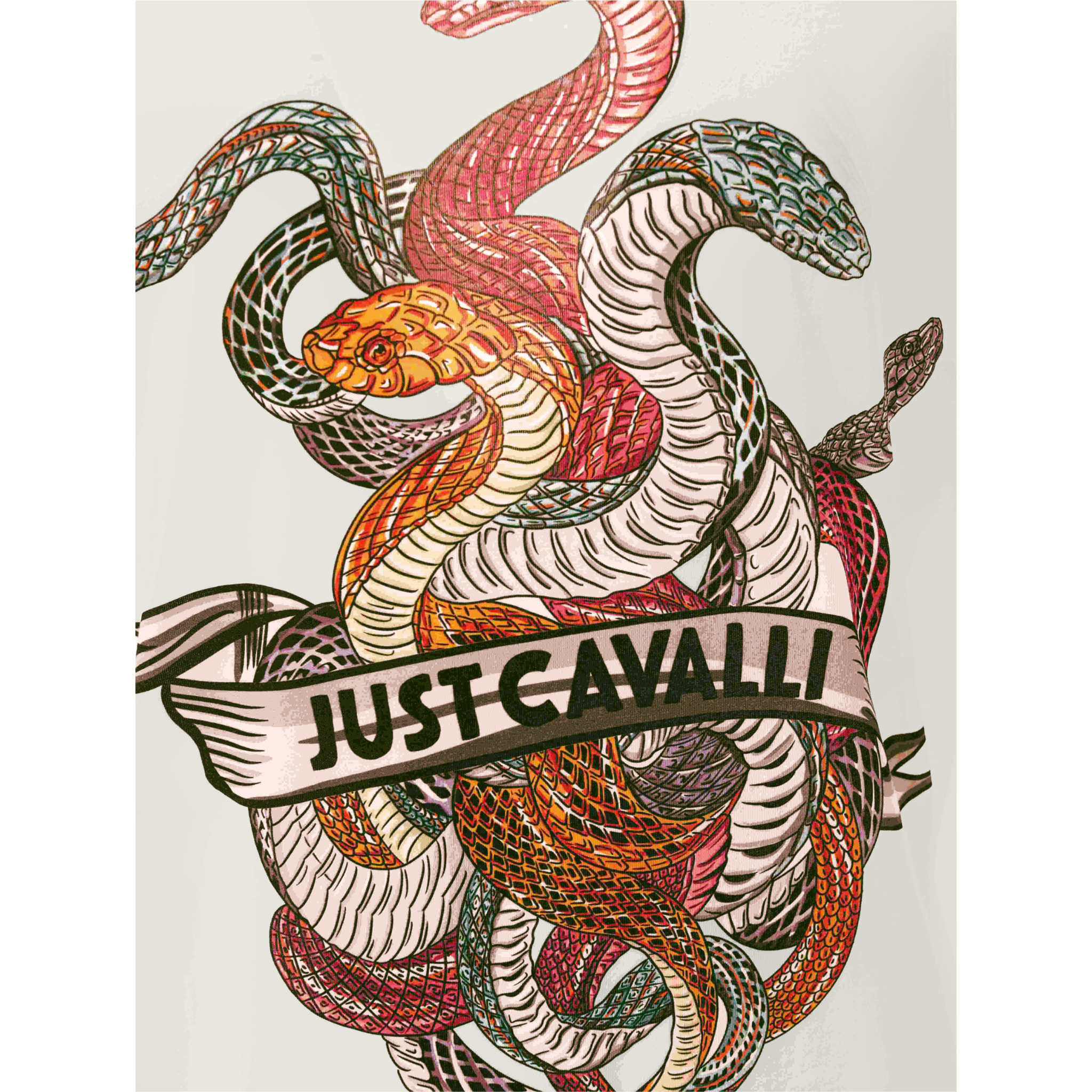 Just Cavalli t-shirt