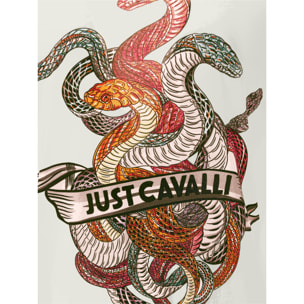 Just Cavalli t-shirt