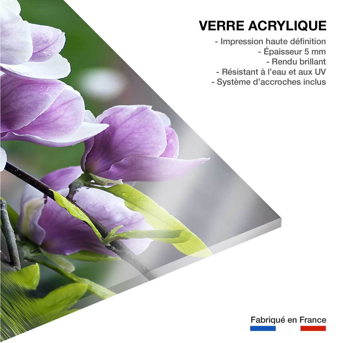 Tableau fleurs de magnolia Tableau plexiglas