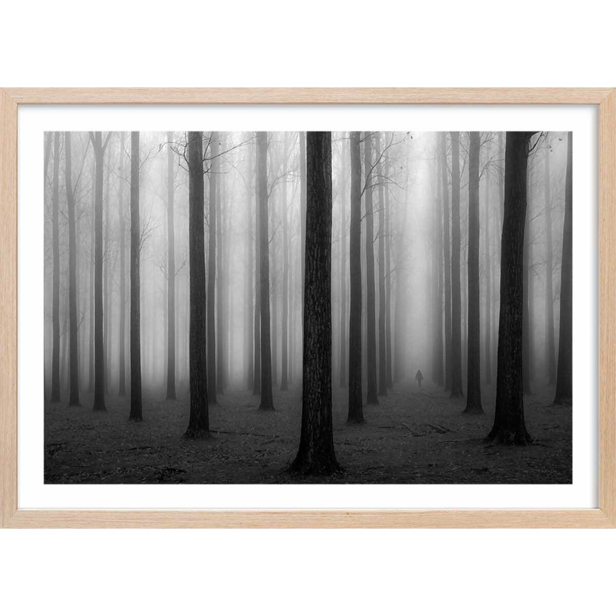 Affiche nature foggy weather Affiche sous cadre bois