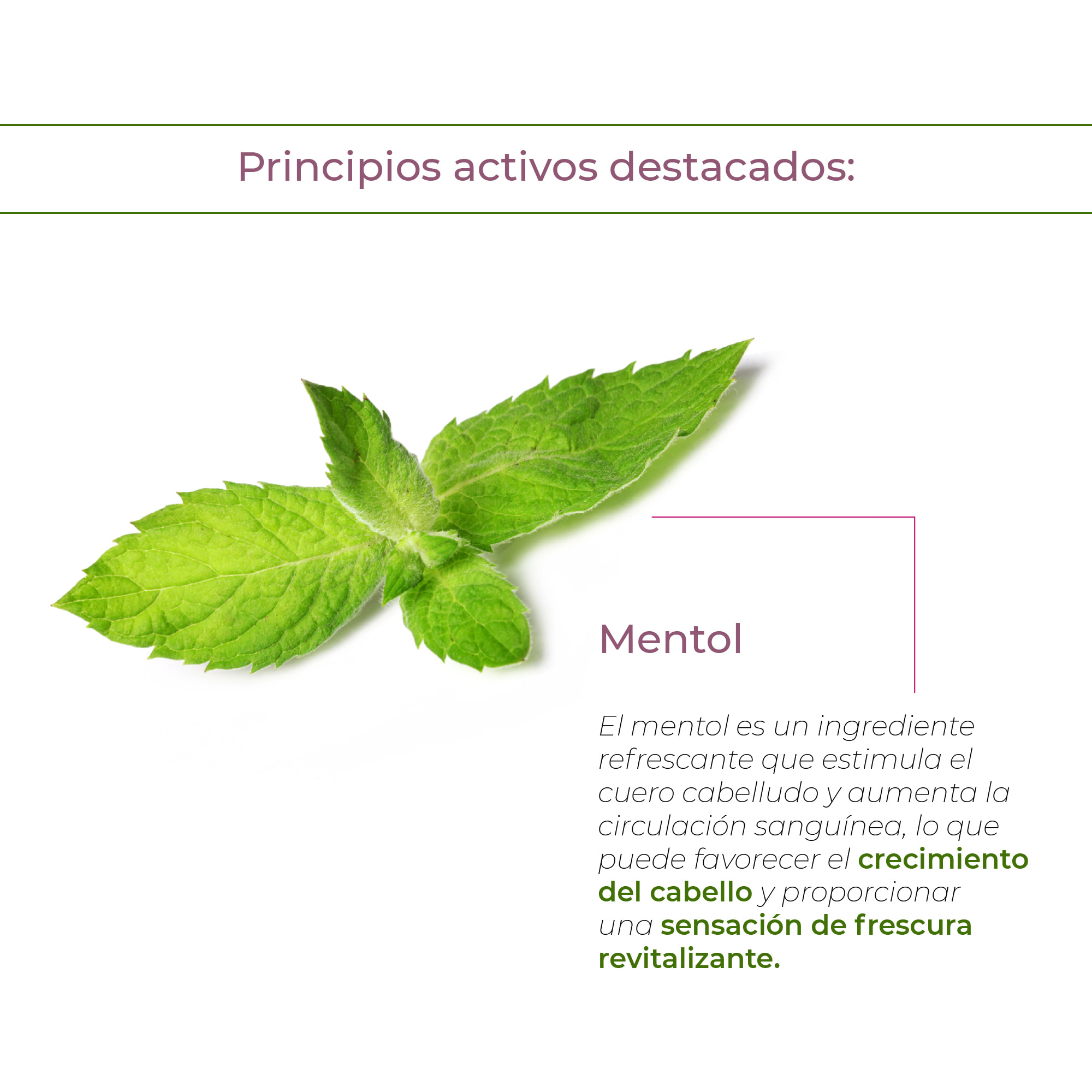 Shampoo Peeling 1000 Ml.