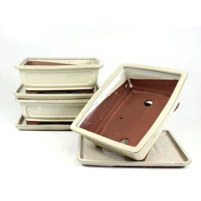 Tiesto bonsáis rectangular 25 cm con plato crema