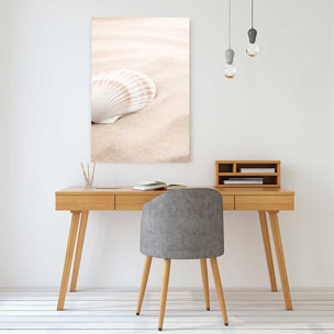 Tableau coquillage Tableau alu Dibond