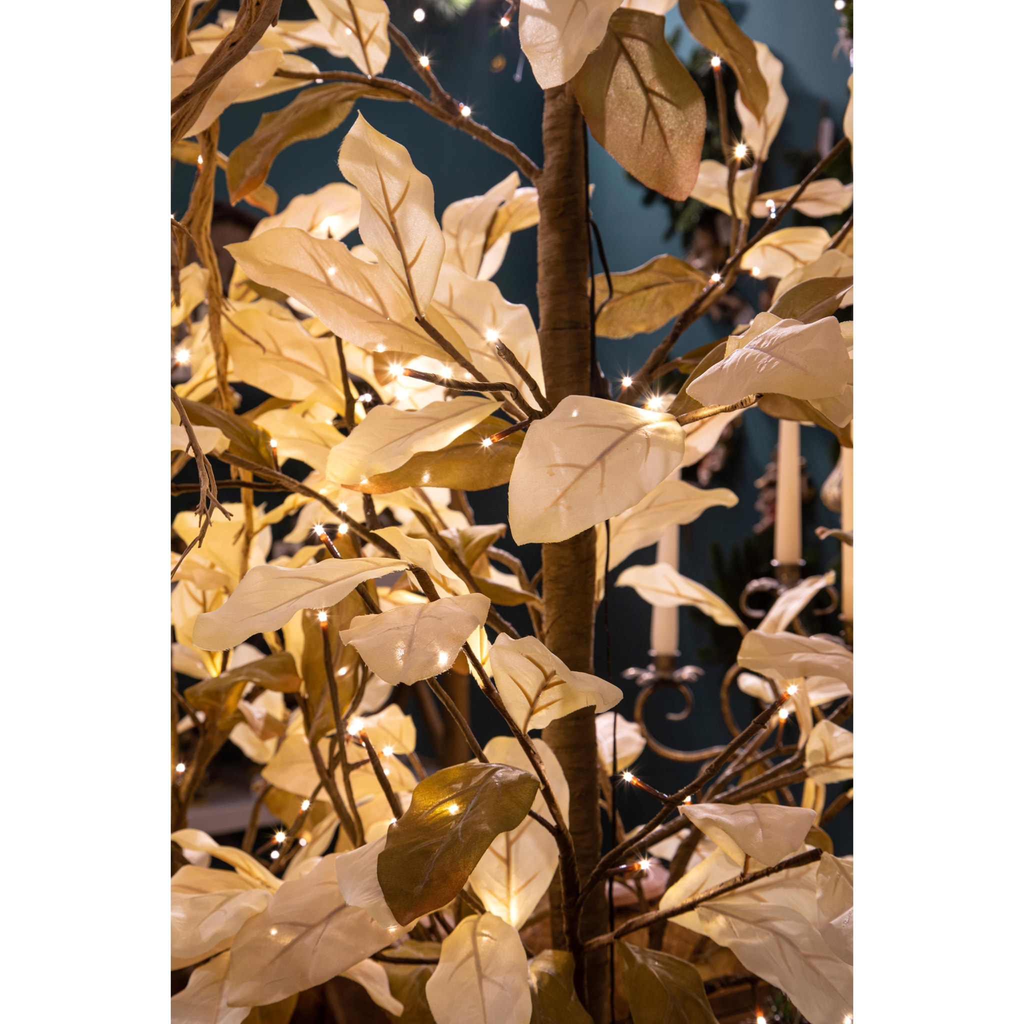 Magnolia - Pezzi 1 - 90xH150x90cm - Bianchi Dino SpA