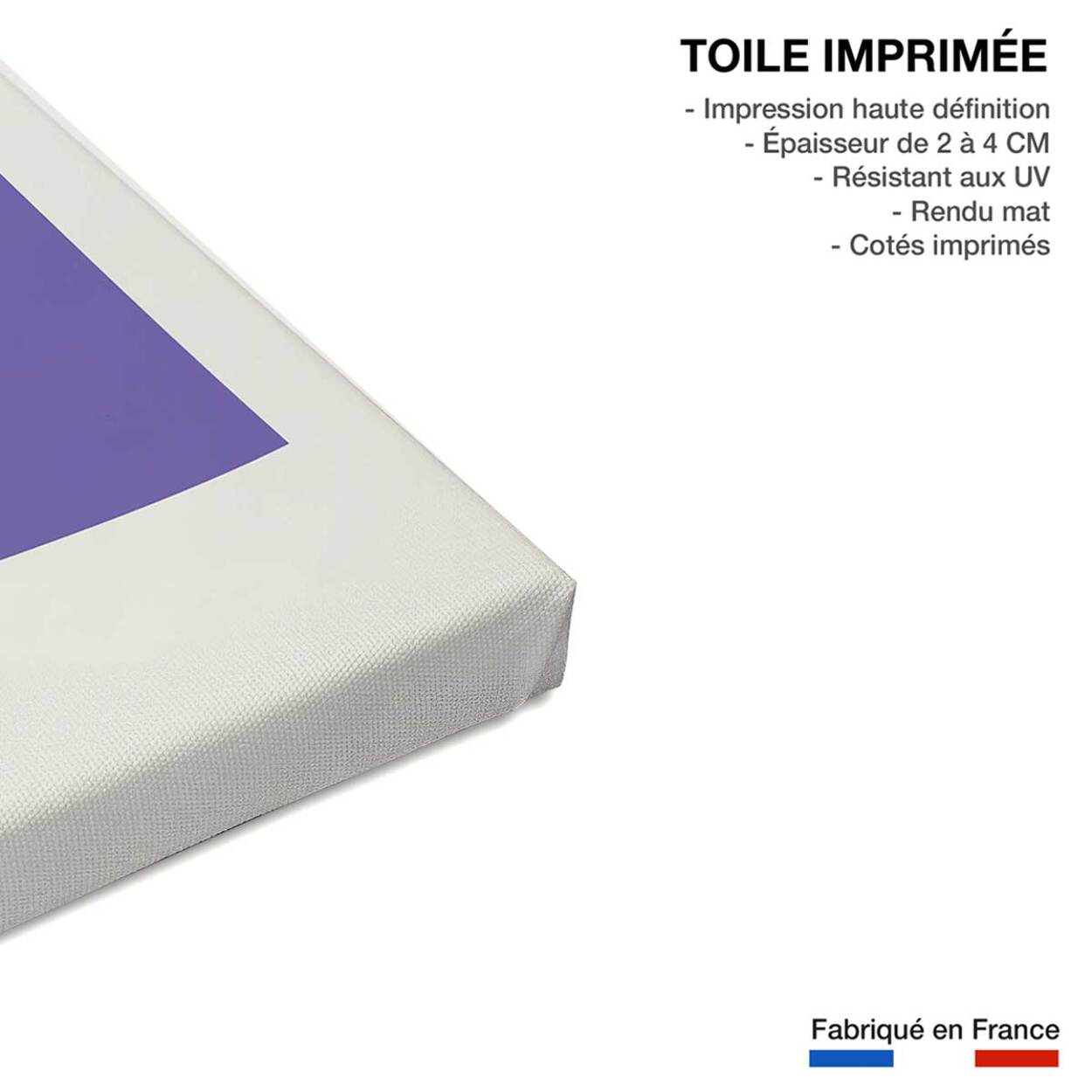 Tableau deco flying bird Toile imprimée