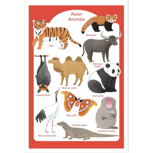 Affiche enfant animaux d' asie  Affiche seule