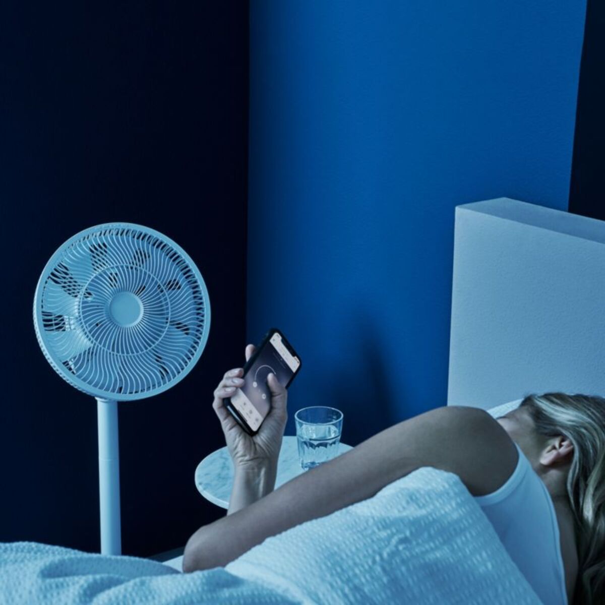Ventilateur DUUX connecté whisper flex smart DXCF13