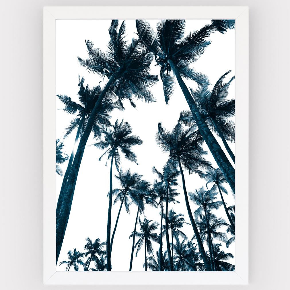 Lámina Blue Palms