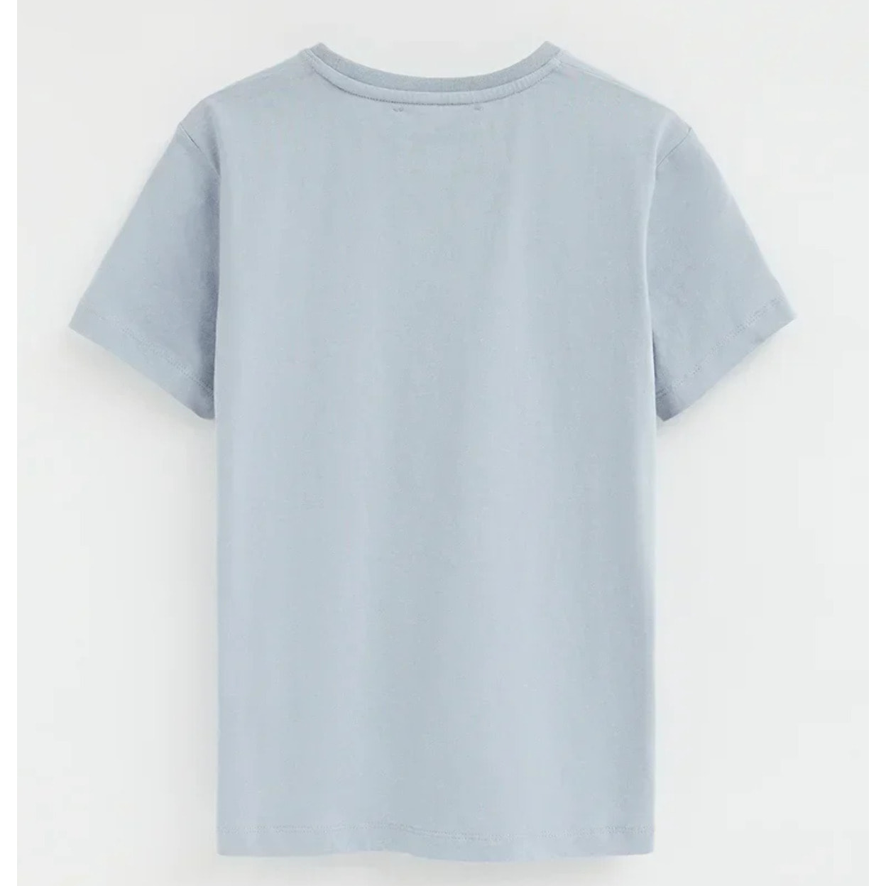 Camiseta azul claro de manga corta y cuello redondo con bordado Rigby Go