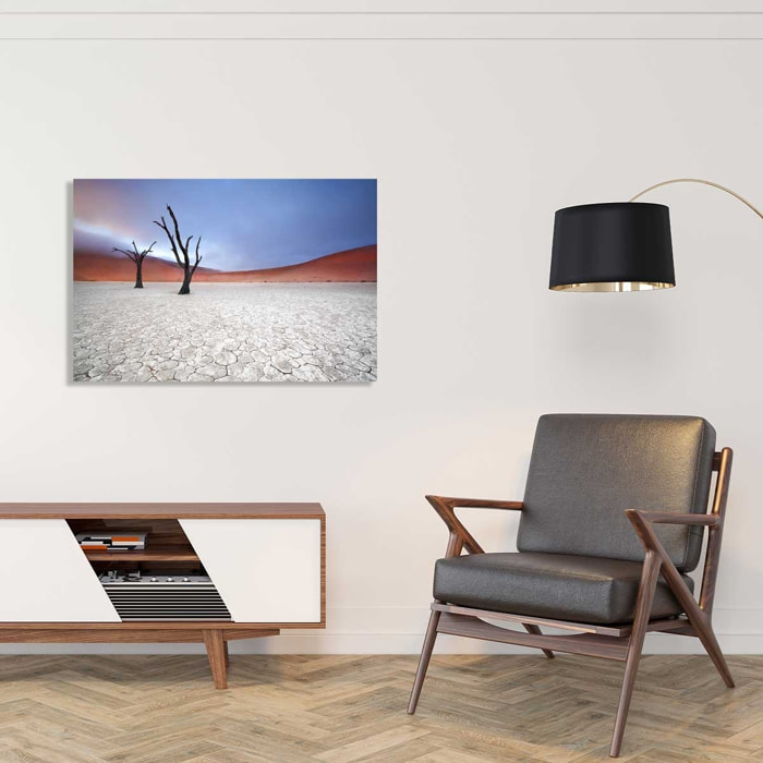 Tableau de Namibie, Le deadvlei Tableau plexiglas