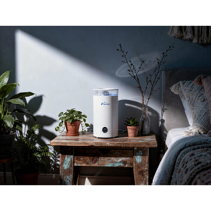 Humidificador ultrasónico de 27W vapor templado o frio para pequeñas superficies HYDRO 9 PURLINE