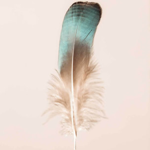 Affiche enfant plume bleue  Affiche seule