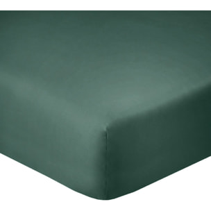 Drap housse coton bleu, canard