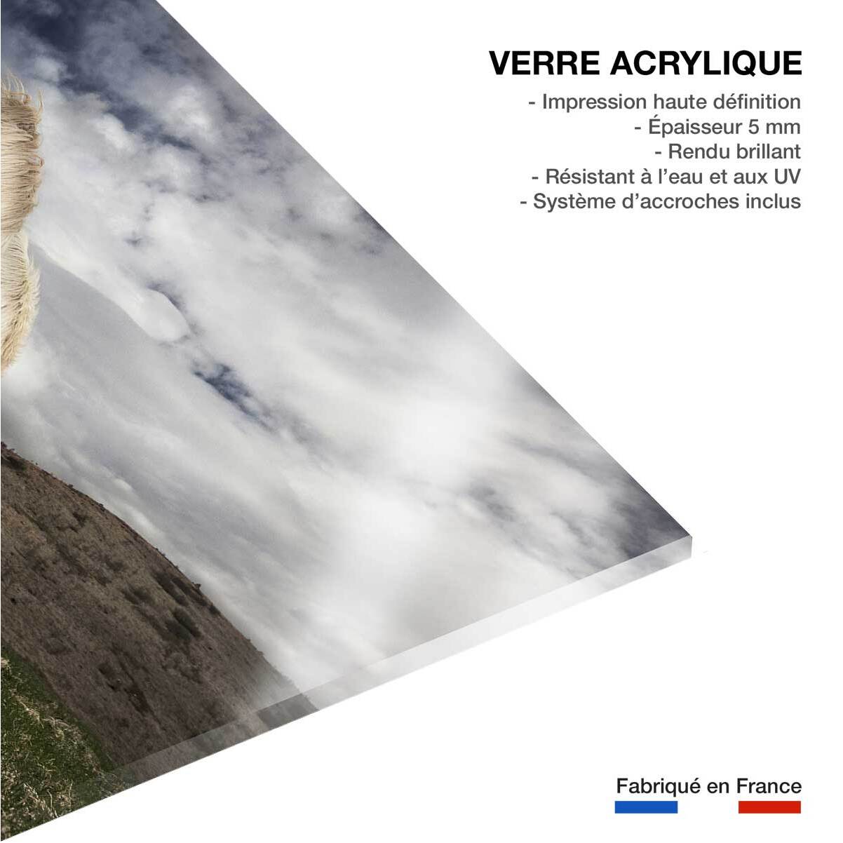 Tableau Chevaux blancs Tableau plexiglas