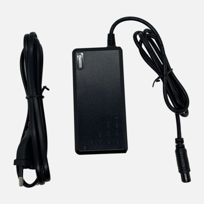 Hoverboard Chargeur 42V (2 pins)