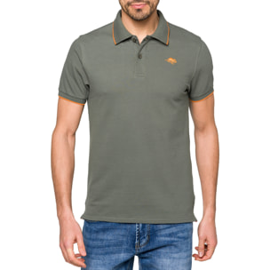 Polo Hot Buttered Mareeba con righine verde miliatre.