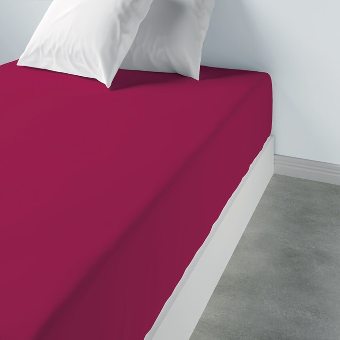 Drap Housse Coton 57fils Uni - Bonnet 35cm CERISE