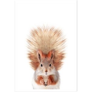 Affiche enfant bébé ecureuil  Affiche seule