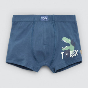 Confezione da 2 boxer in cotone per bambini con stampa di dinosauri