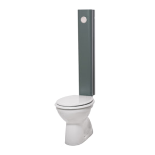 WC à poser sortie horizontale GRIFFON 1950 Le Tube avec abattant frein de chute Azur