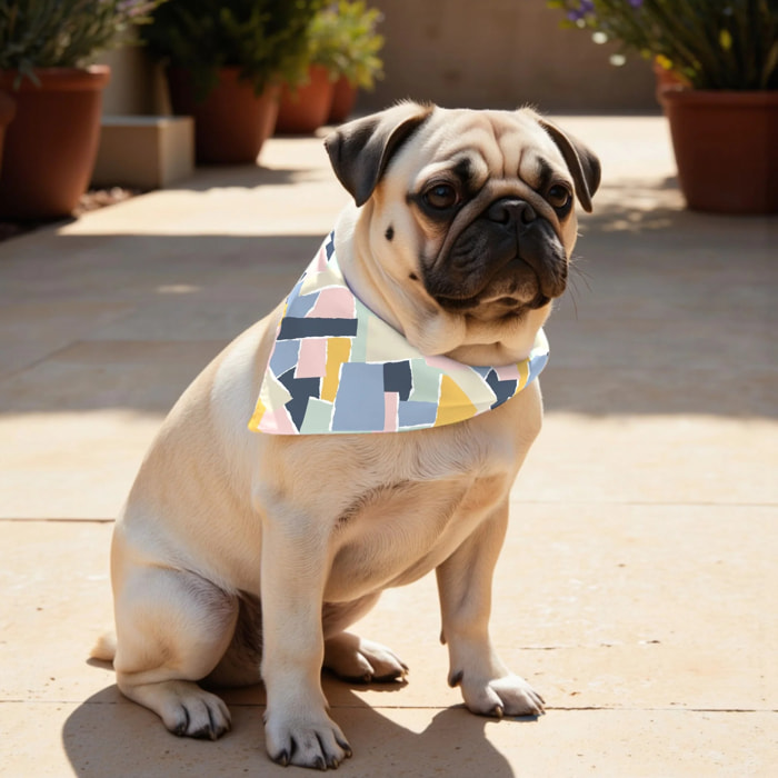 Pack de 2 bandanas pour animaux 0120-141