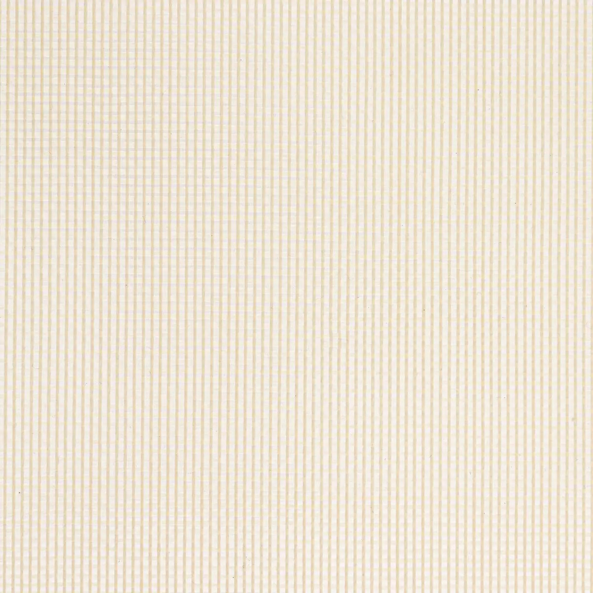 Tapis en silicone 40x30cm