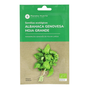 PLANETA HUERTO | Semillas Ecológicas de Albahaca Genovesa – Aroma Intenso y Hoja Grande, Ideal para Pestos y Platos Mediterráneos