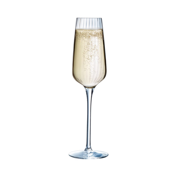 6 flûtes à champagne 21 cl