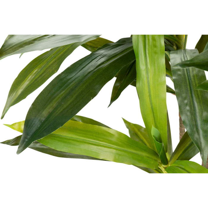 Planta Fragancias Dracaena 70x70x160 Cm