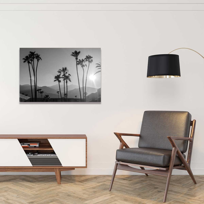 Tableau noir et blanc palmiers - palm springs Tableau plexiglas