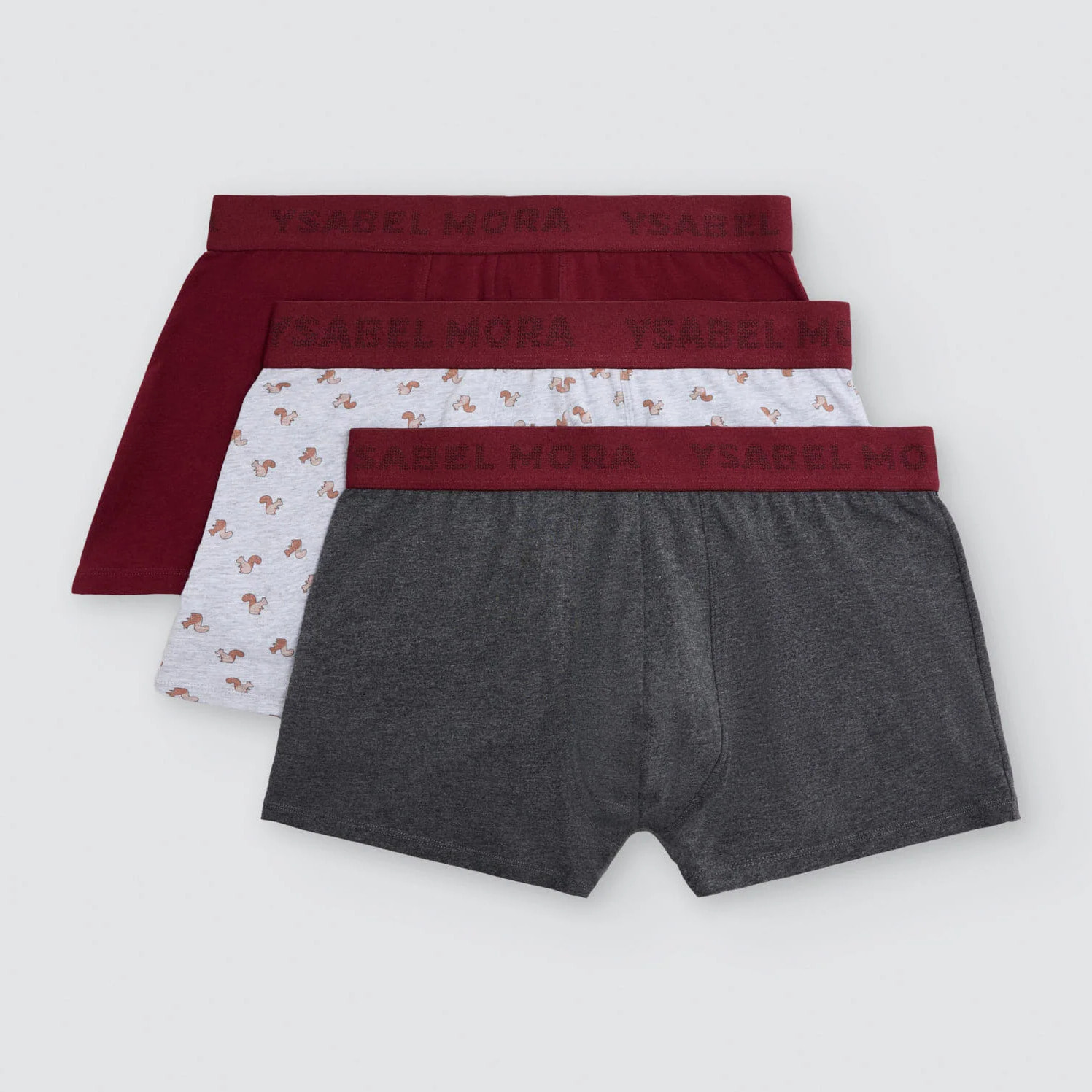 Boxer
