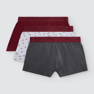 Boxer