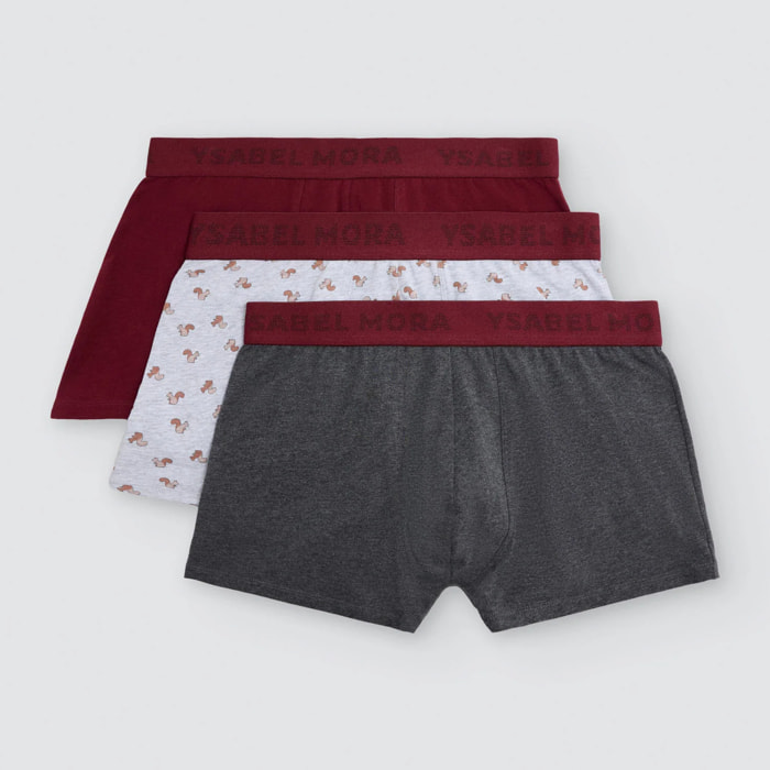 Boxer