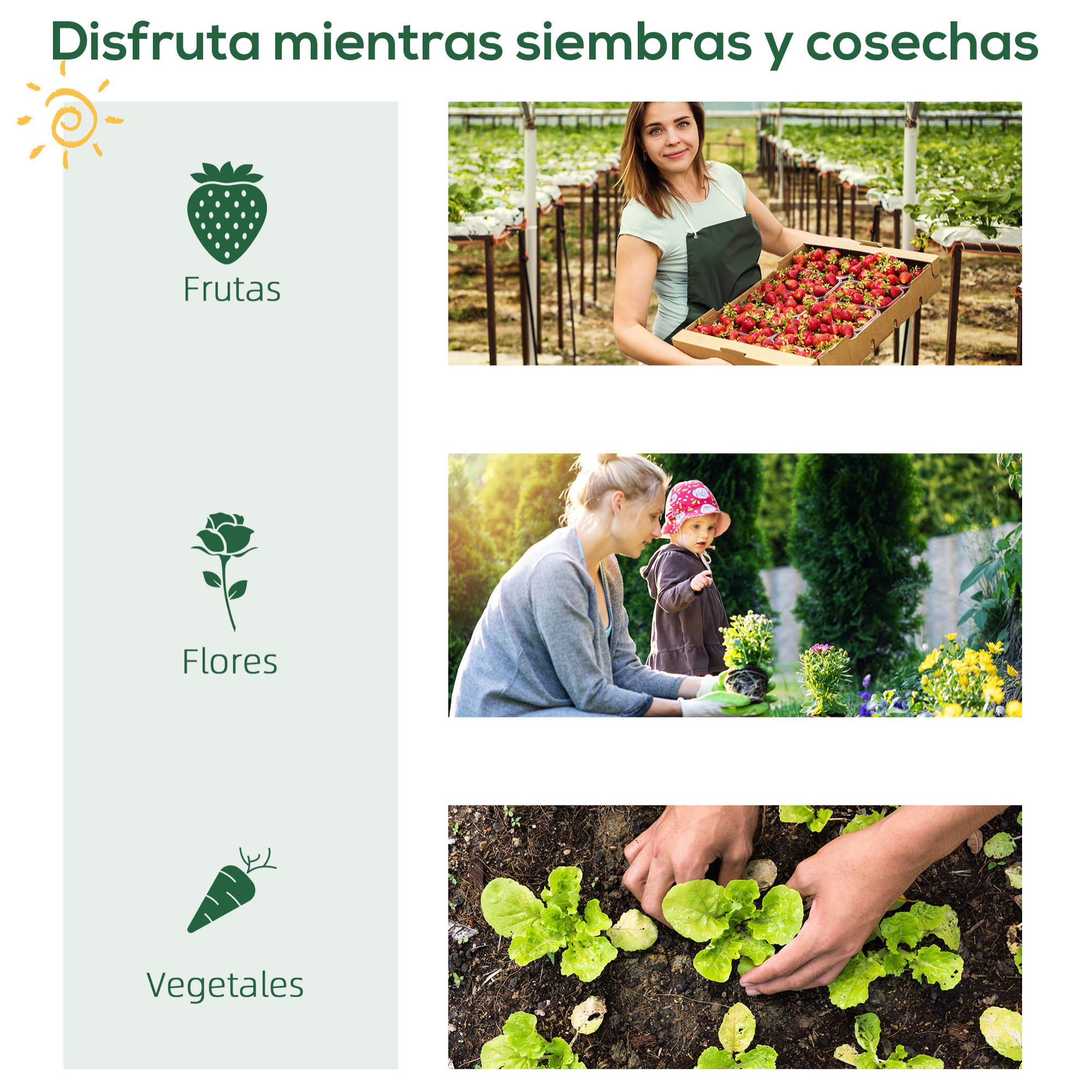 Invernadero de Jardín con 4 Estantes Metálicos Puerta Enrollable y Cubierta de PE Vivero Casero de Terraza para Cultivo Plantas Flores Macetas 80x49x160 cm Verde