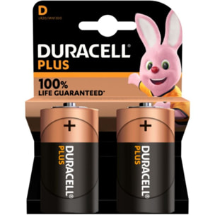 Pile DURACELL LR20 D x2 piles PLUS