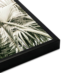 Affiche encadrée feuillage tropical chic Affiche + cadre en métal - Noir